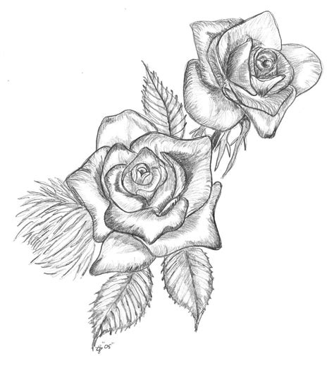 roses drawing|free printable drawings of roses.